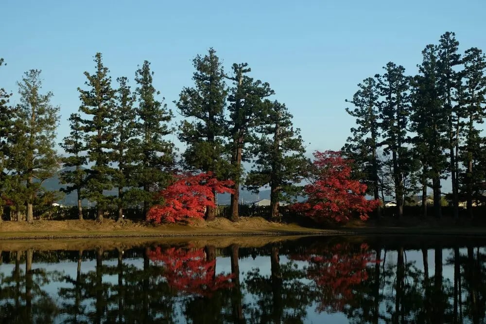 岩手県