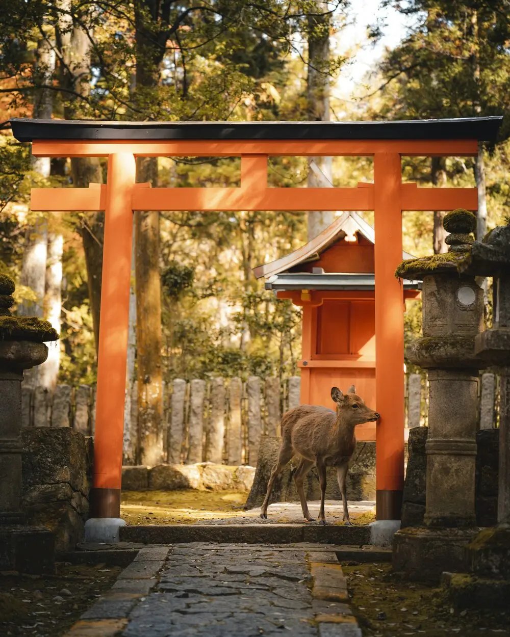 奈良県
