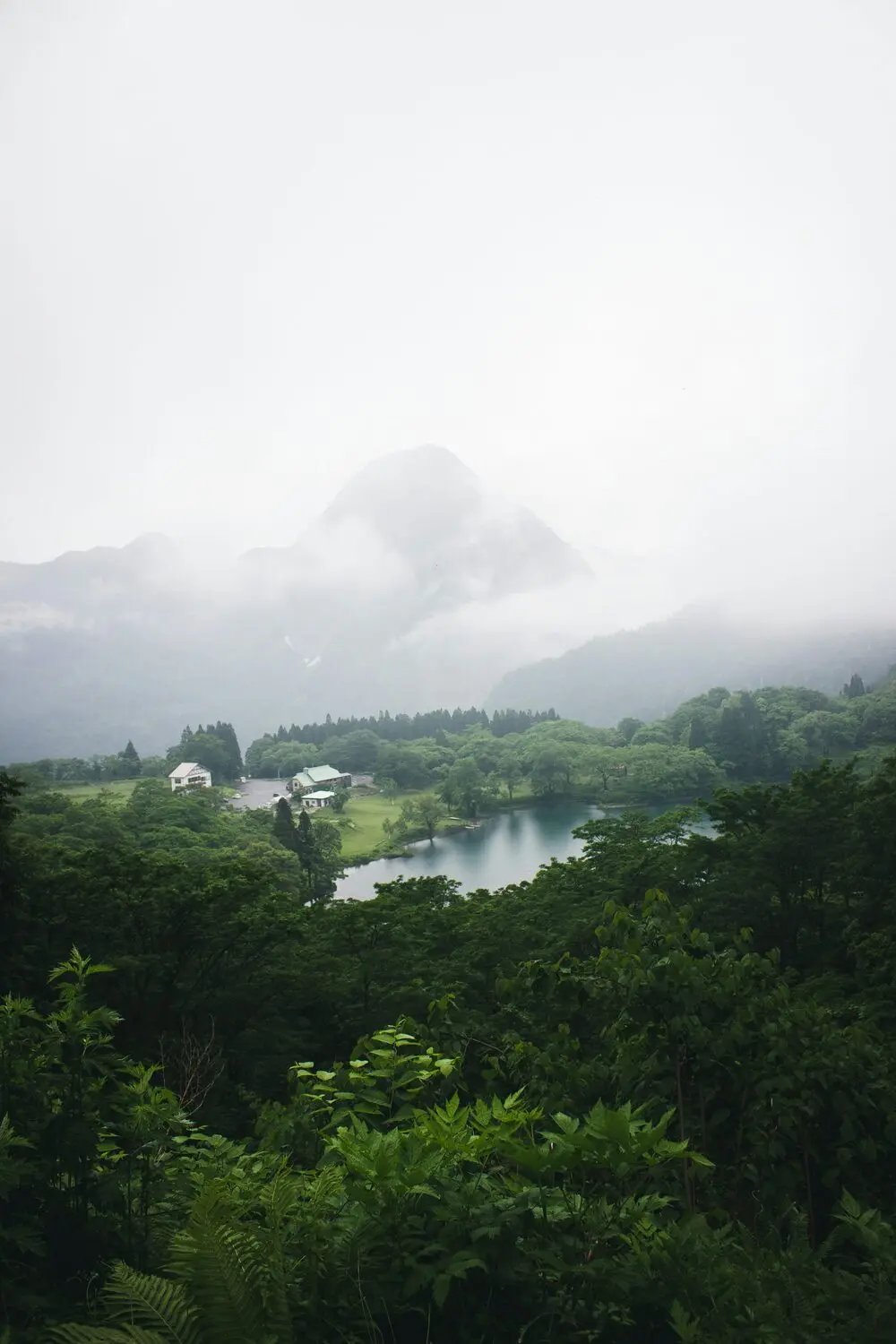 新潟県