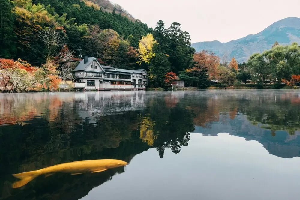 大分県