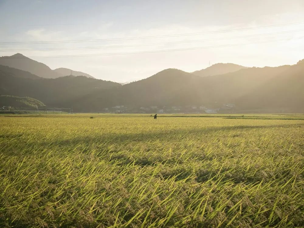 徳島県