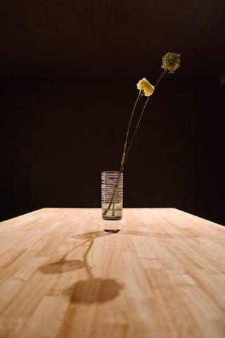 花瓶を迎えて、花をしつらえてみました💐

アリウム - ムラサメシロ
マリーゴールド - ホワイトスワン