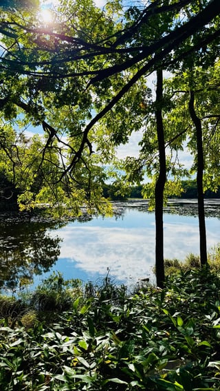 北海道 知床五湖🐻
Shiretoko Goko Lakes - Hokkaido