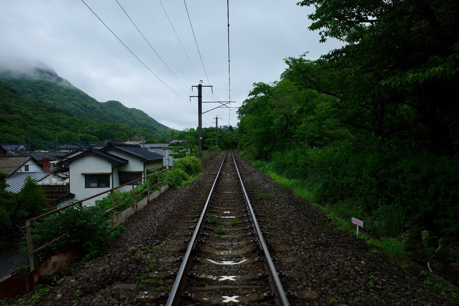 投稿画像 3