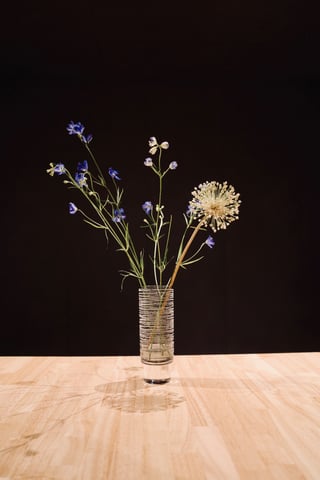 デルフィニウム💐