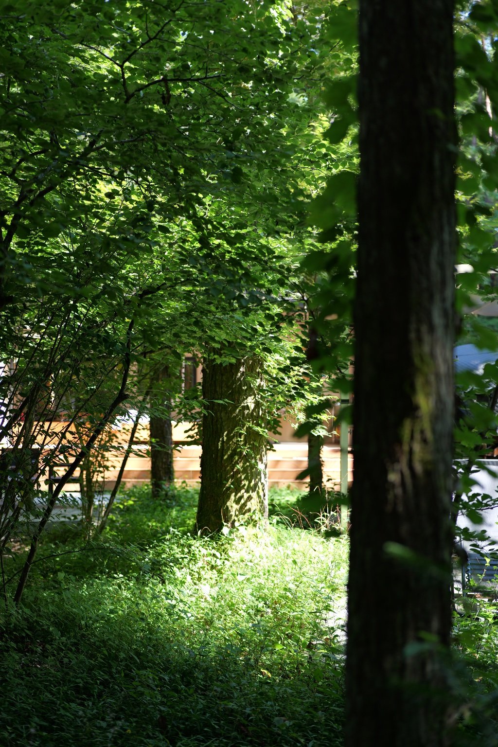 1ヶ月ぶりの自然🌳🧖‍♀️
最近お迎えしたLUMIX S9で📸