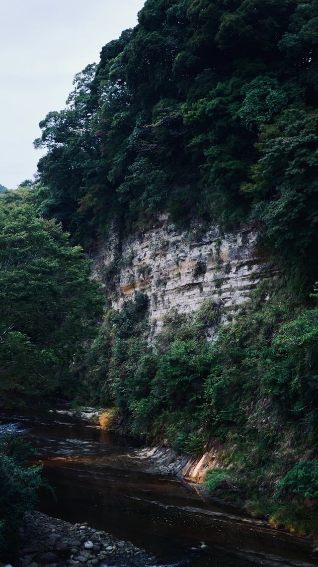 秋のはじまり🍂毎日このくらいの気温がいいけれど、そうなったら四季が恋しくなるのかな。