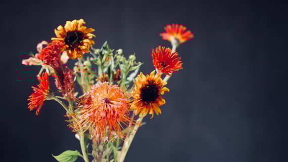 今週のお花💐
・ピンクッション
・ケイトウ
・ルドベキア
・スパイダー咲きのミニガーベラ