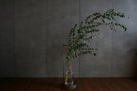 最近は大きめの花器を集めていてユーカリを生けてみました🌿GR IVの質感も好きだなあ。