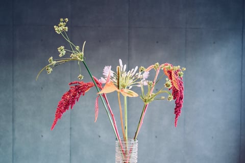 花を撮るときの良い構図が分からない…🥲

今週のお花💐
・アンスリウム
・アガパンサス
・アマランサス
・カヤツリグサ