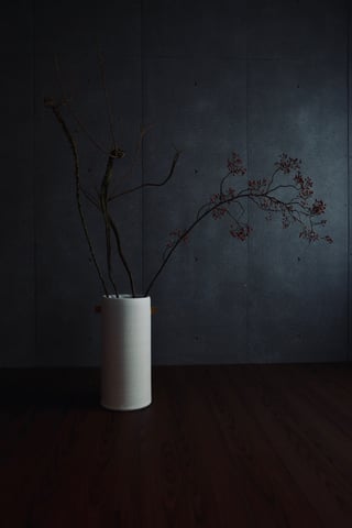 野バラと石化柳🪾