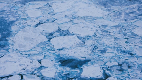 1年ぶりの知床ウトロの流氷🧊