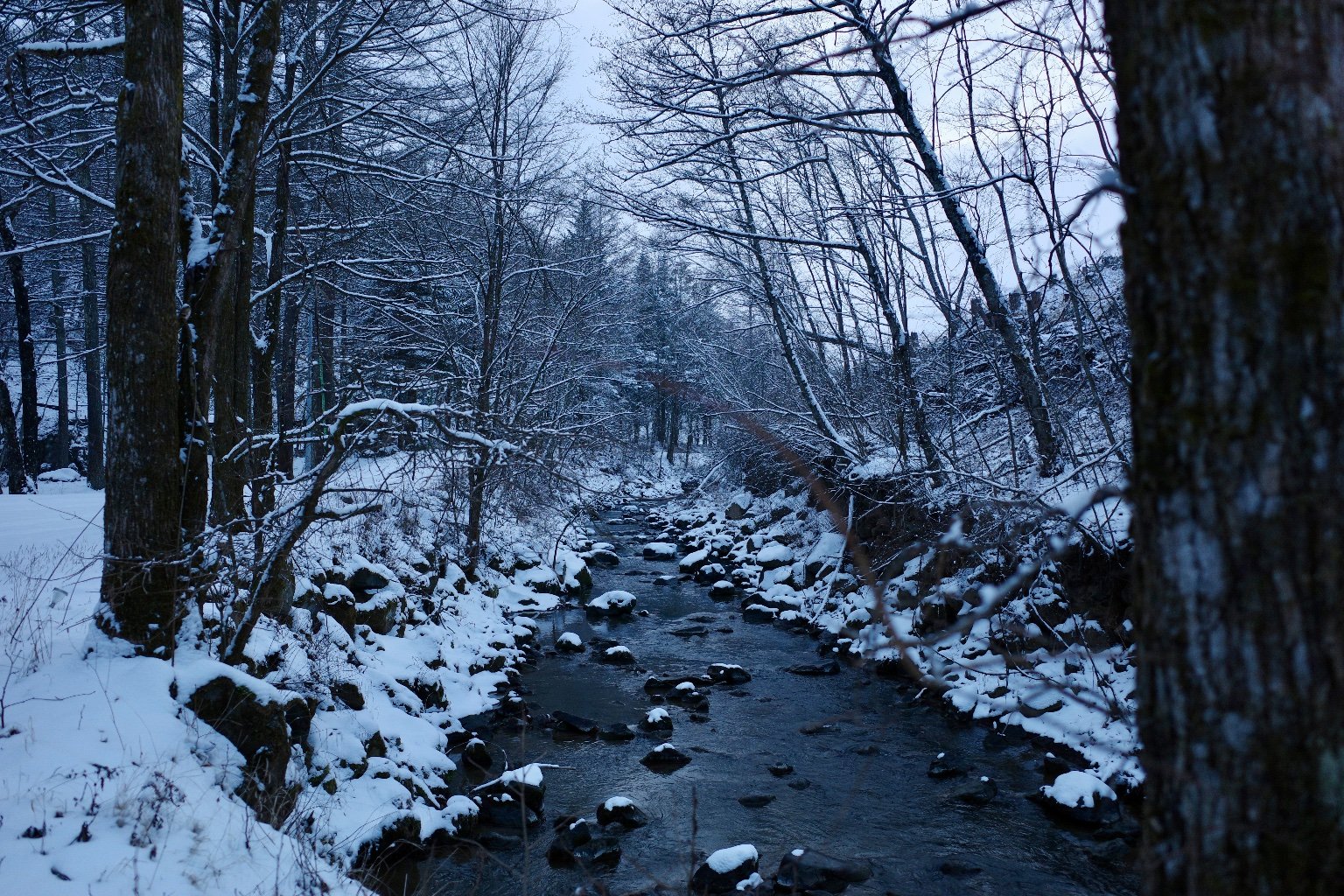 ist - Aokinodaira Field - Nagano Pref🏕️