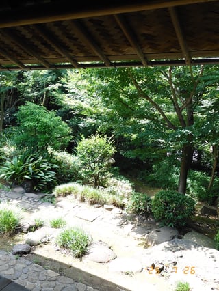 旧朝倉家住宅でx-halfを試してみました。フィルムの感じがきれいで楽しい