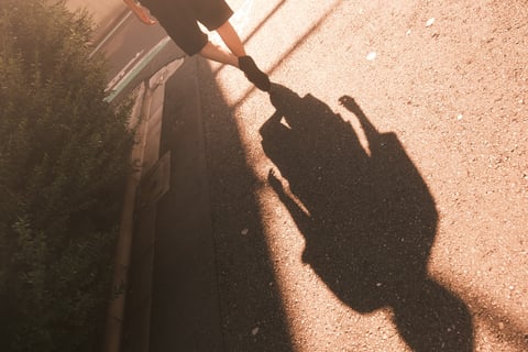 朝の柔らかい光の差し込み方が大好き。