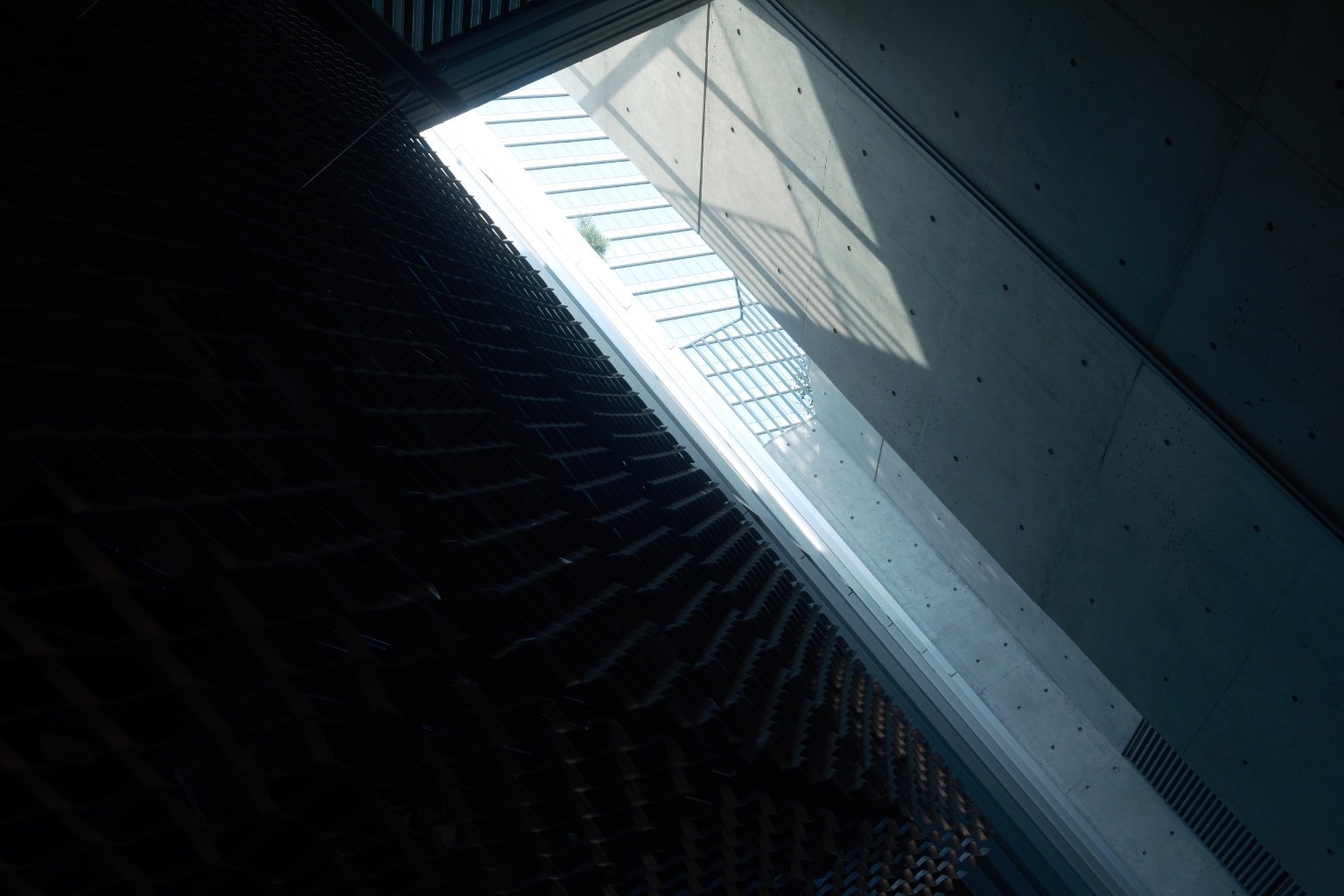 投稿画像 2