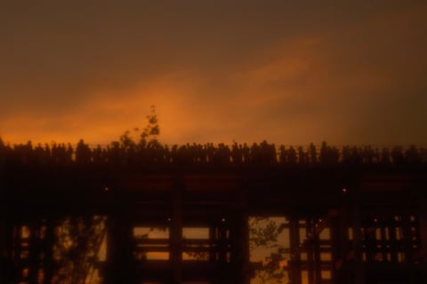 夕方の万博。夕焼けを見にこれだけの人がリングに上がってるの、なんだかいいな。