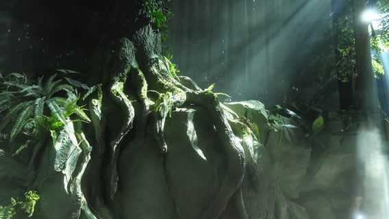 ファンタジーの世界に本当に足を踏み入れたような気持ちにさせてくれる住友館、大好き