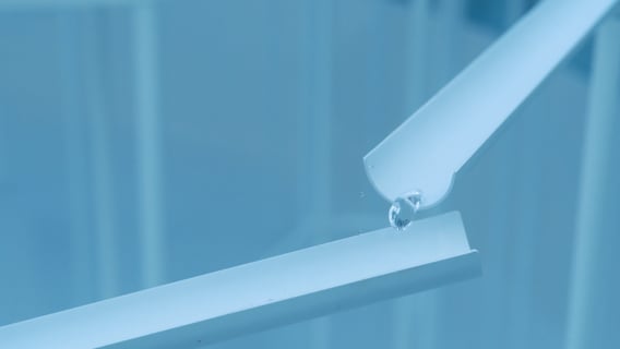 静かな一粒の冒険