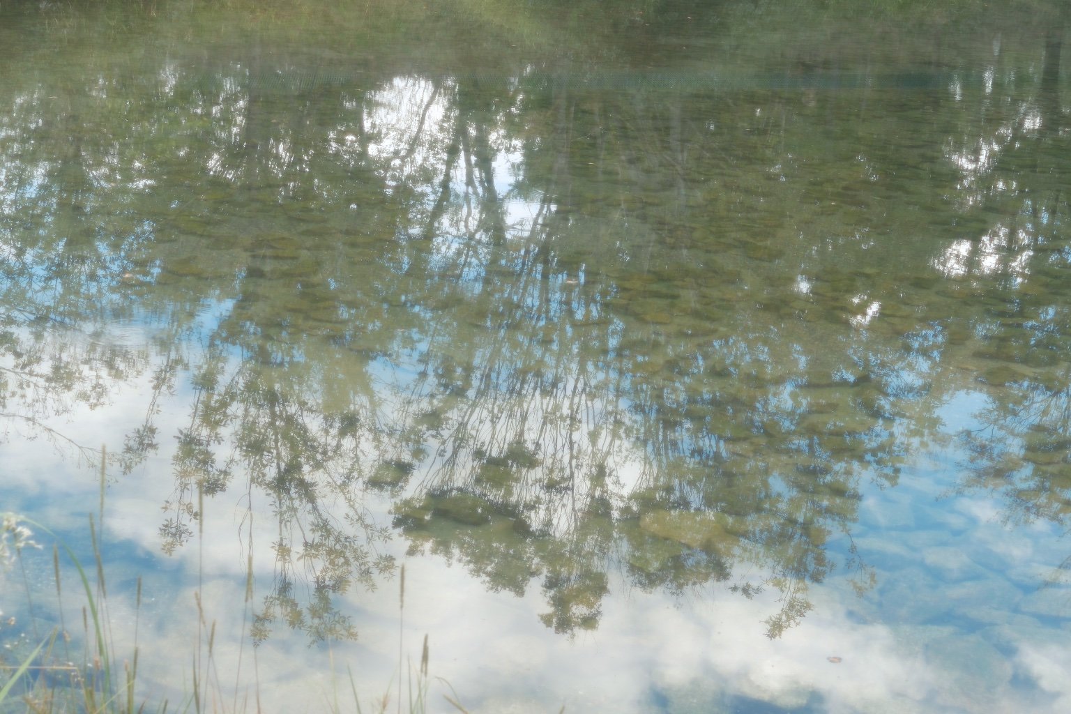 メイン投稿画像