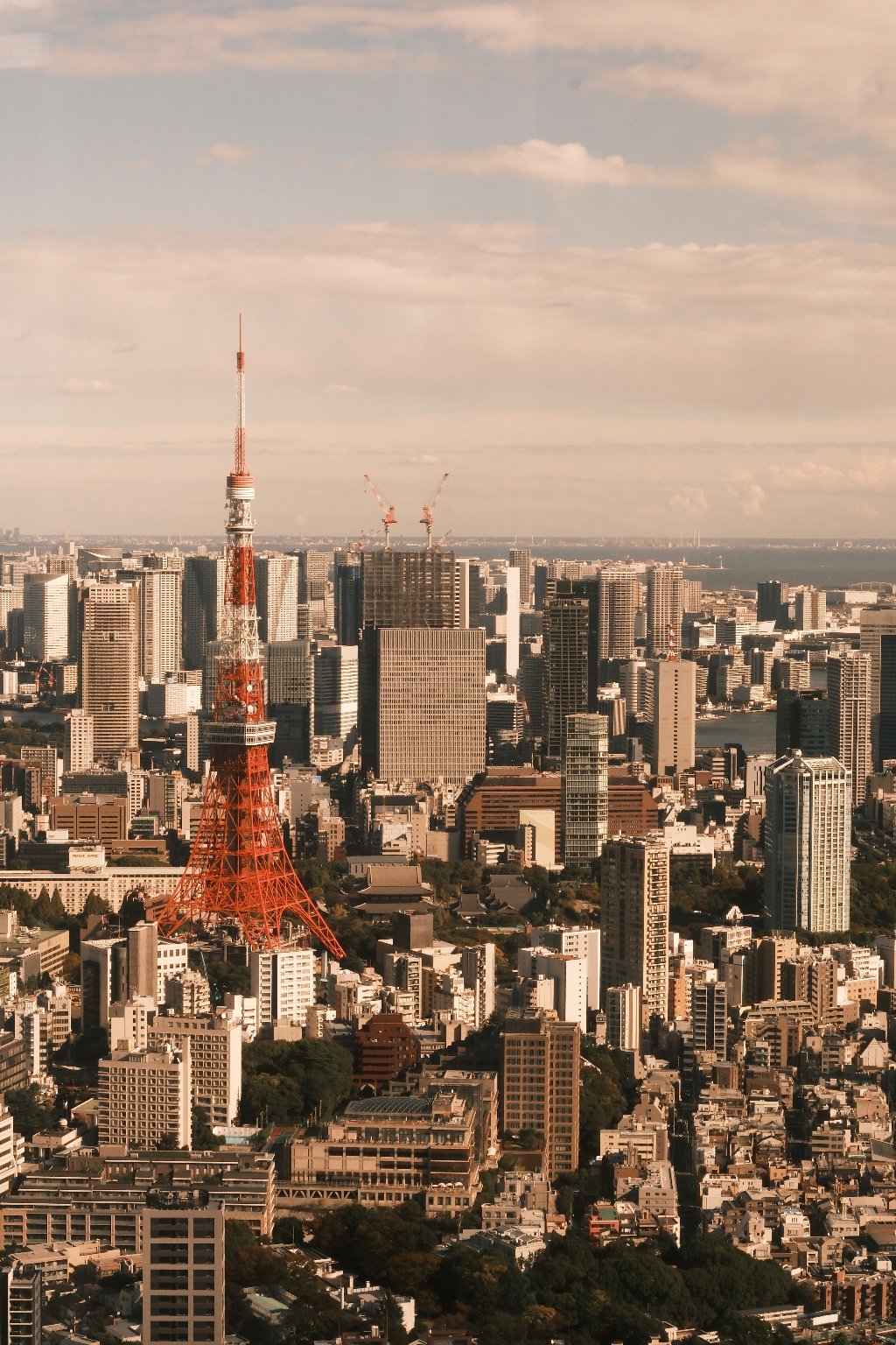 メイン投稿画像