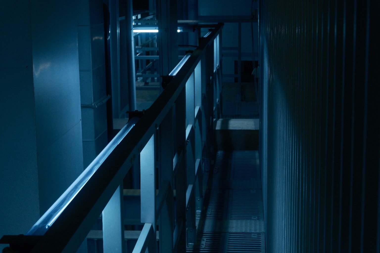 メイン投稿画像