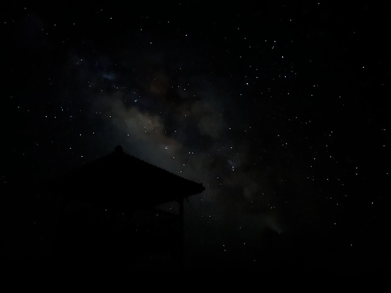 投稿画像 2