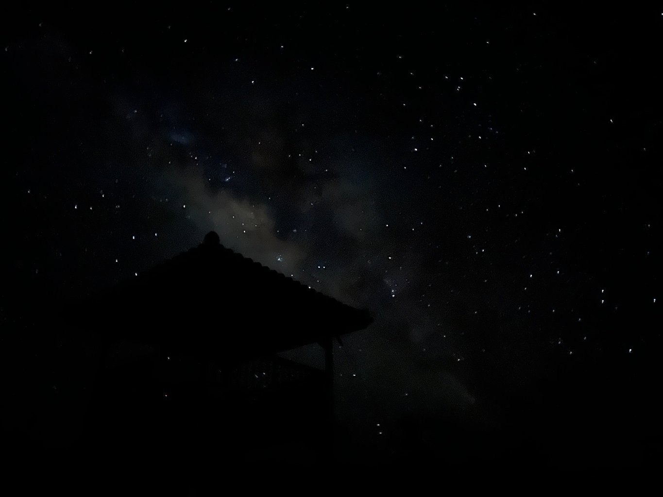 投稿画像 3