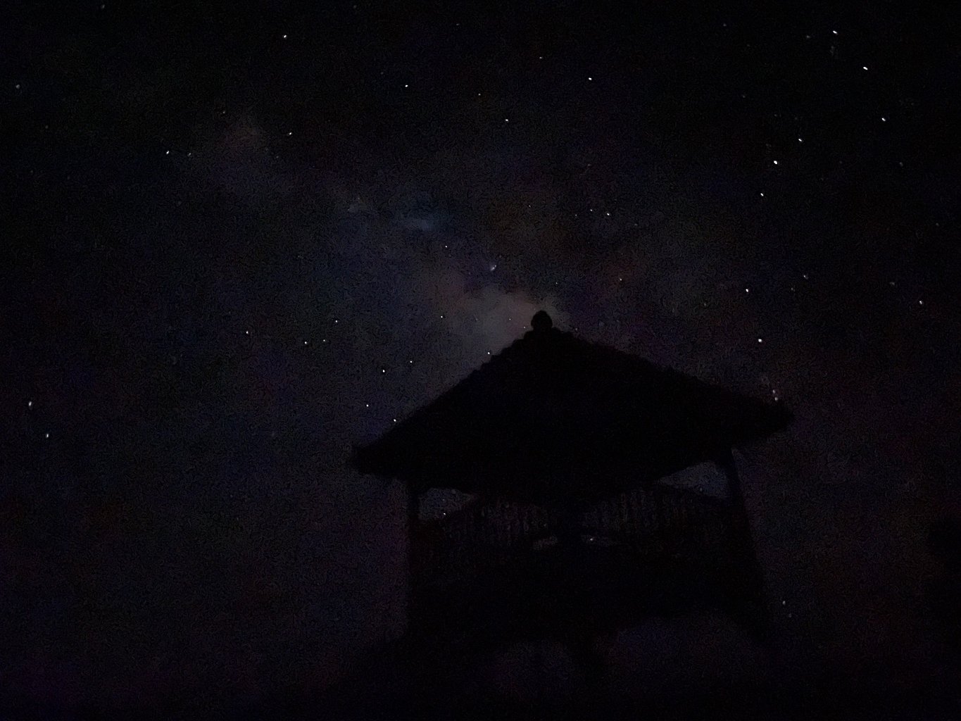 投稿画像 4