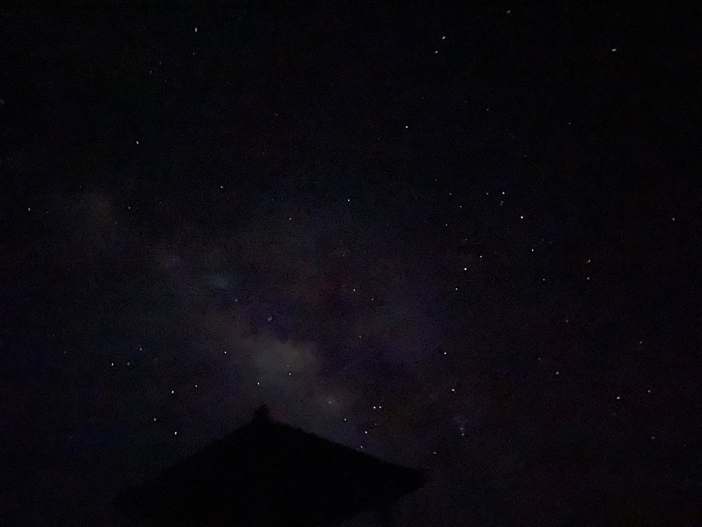 投稿画像 5