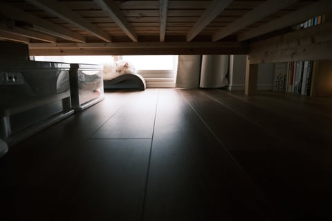 隠し撮り。日光が強すぎるけど暑くないのかな