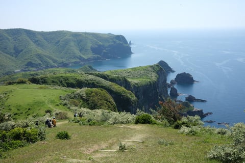隠岐島の摩天崖。ハイキングコースらしいけれど結構坂がきつめ。牛が放牧されててちょっとビビる
