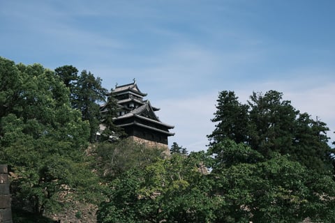 国宝松江城は遠くから眺めても格好よかった。

タクシー運転手さんの小話🚕
ときどき関西からのお客さんが、「松江城にエレベーターはあるんかね？」と聞くわけよ。そんなものあるわけないわね。あったら国宝にはなれんよ。