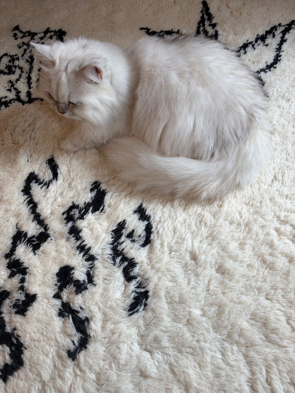 メイン投稿画像