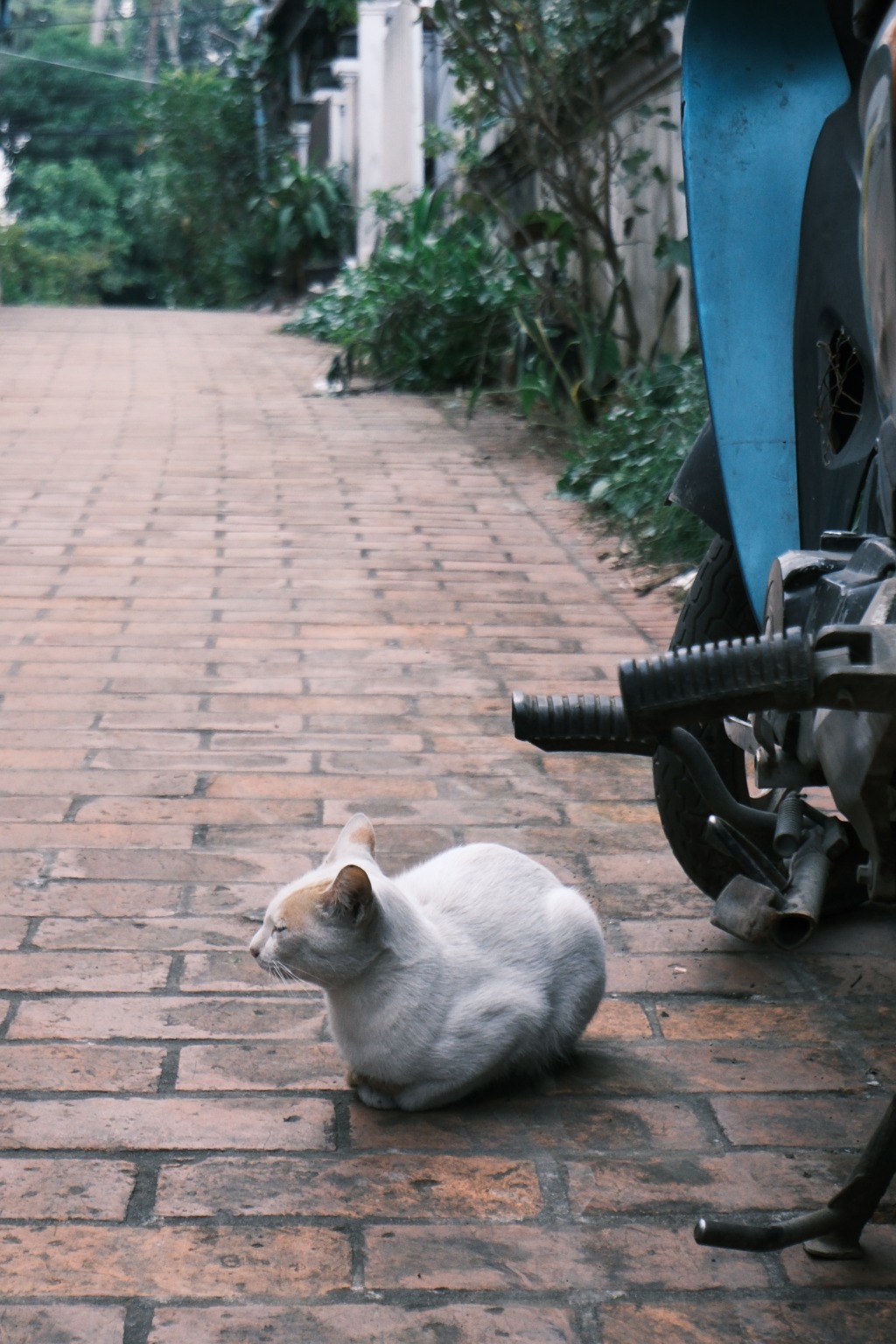 メイン投稿画像