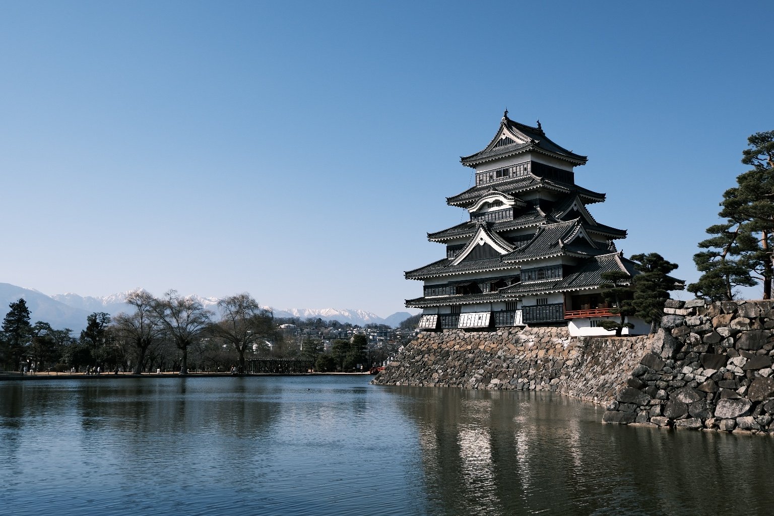 メイン投稿画像