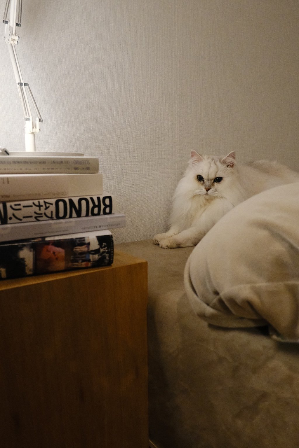 メイン投稿画像