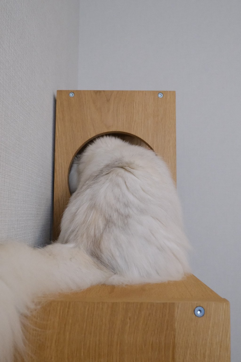 投稿画像 2