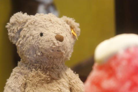 かき氷とくま🍧