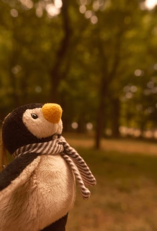 夏の公園を楽しむ冬のふたり。