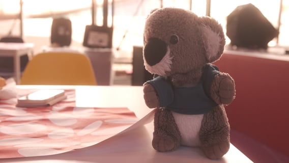 万博、アンゴラ館のカフェで撮影！夕方の光で柔らかい感じで撮れてうれしい。