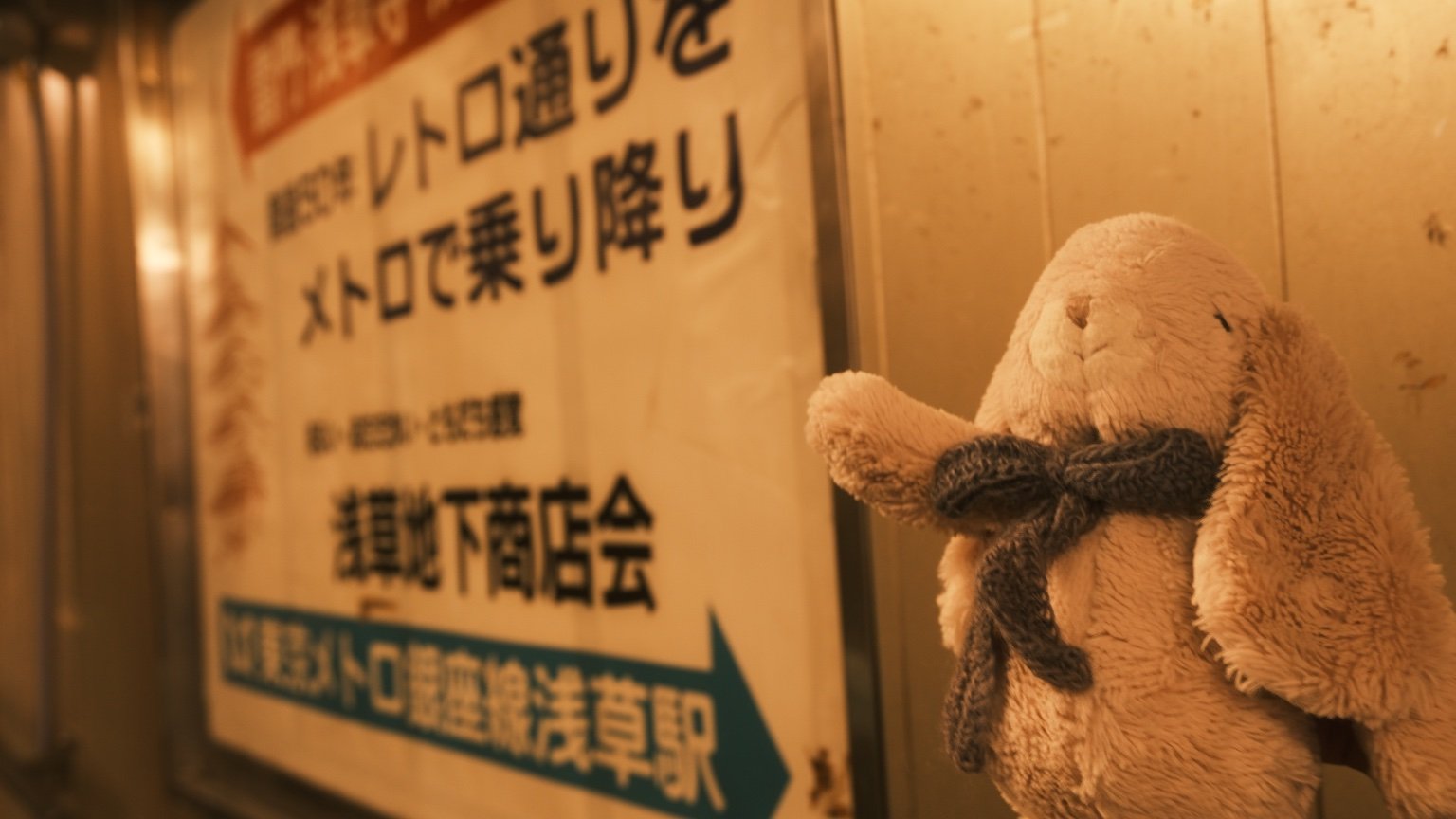 投稿画像 4