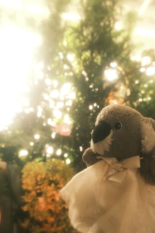 ふわふわの世界のぬいぐるみたち