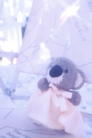 ブラジルの風を感じるぬいぐるみ🐨