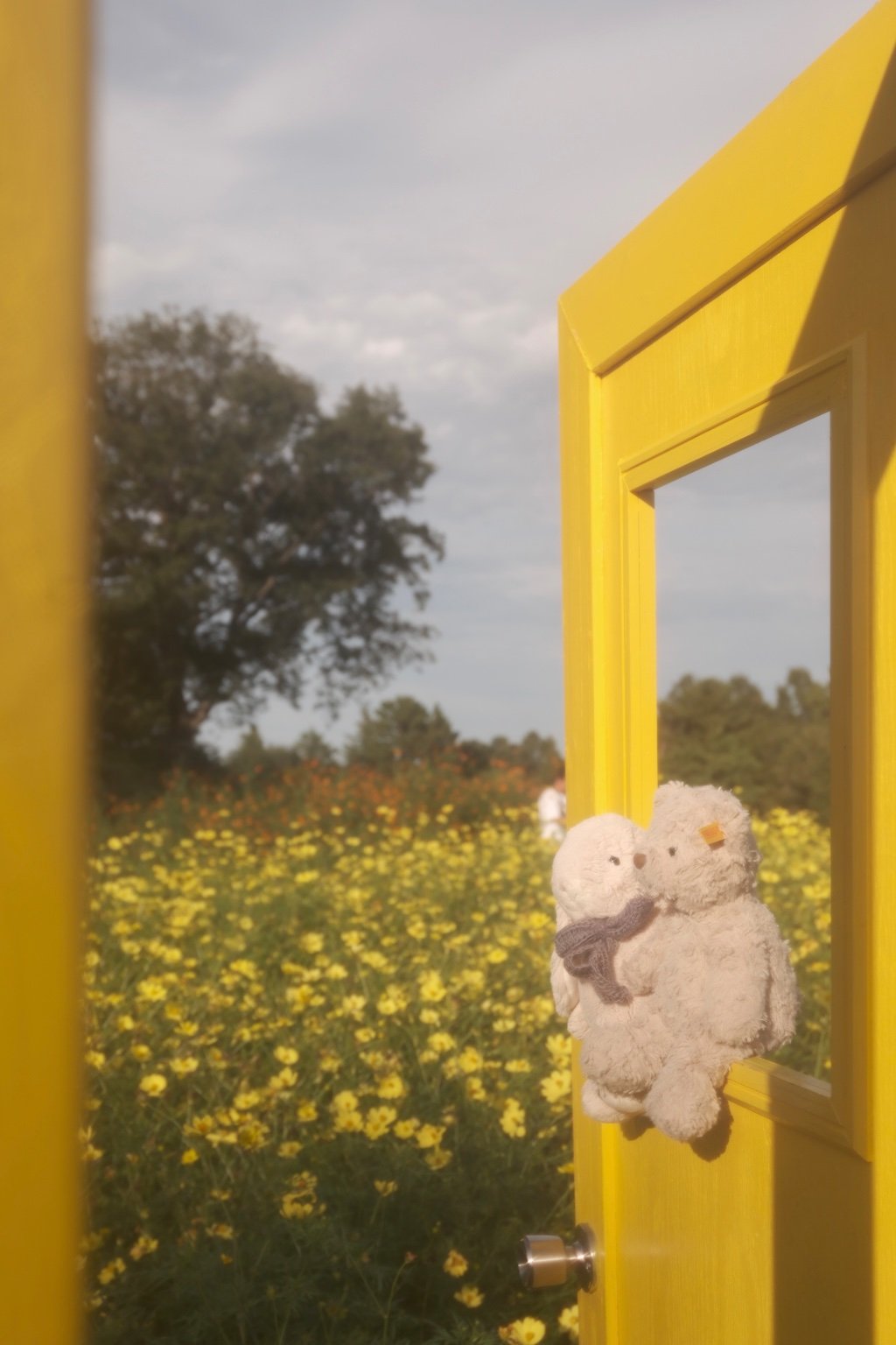 メイン投稿画像