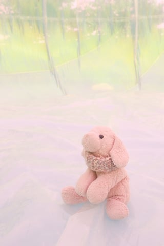 BIWAKOビエンナーレで、奥中章人さんのふわふわの作品を体験するぬいぐるみ。