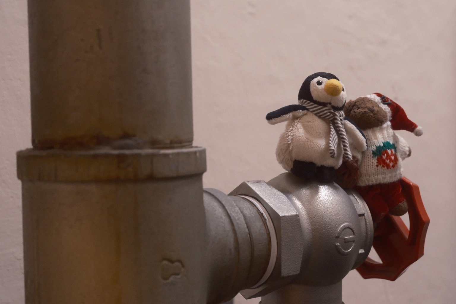 メイン投稿画像