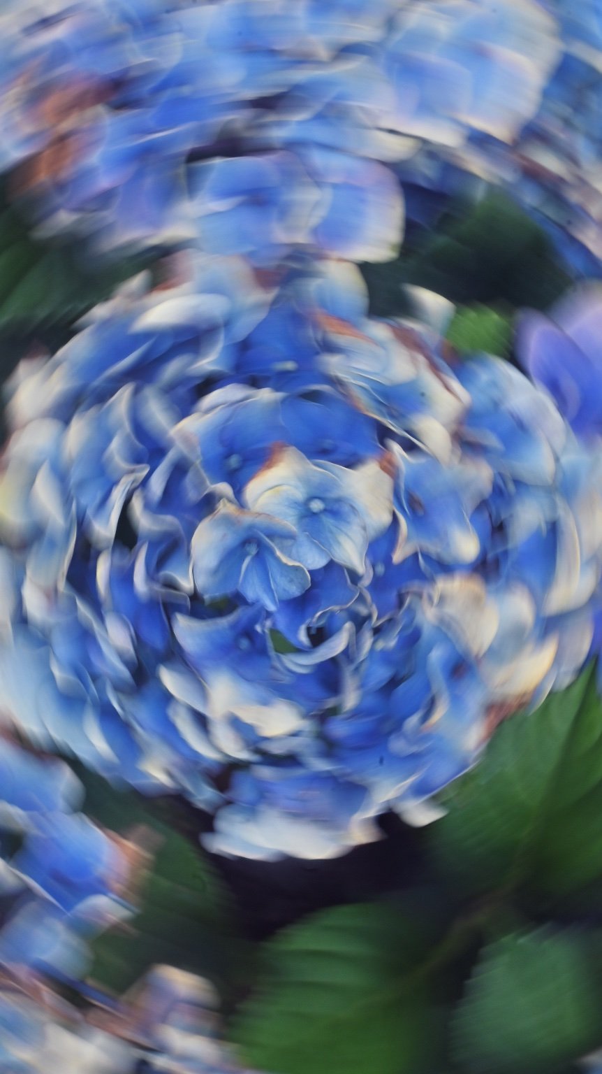 投稿画像 3