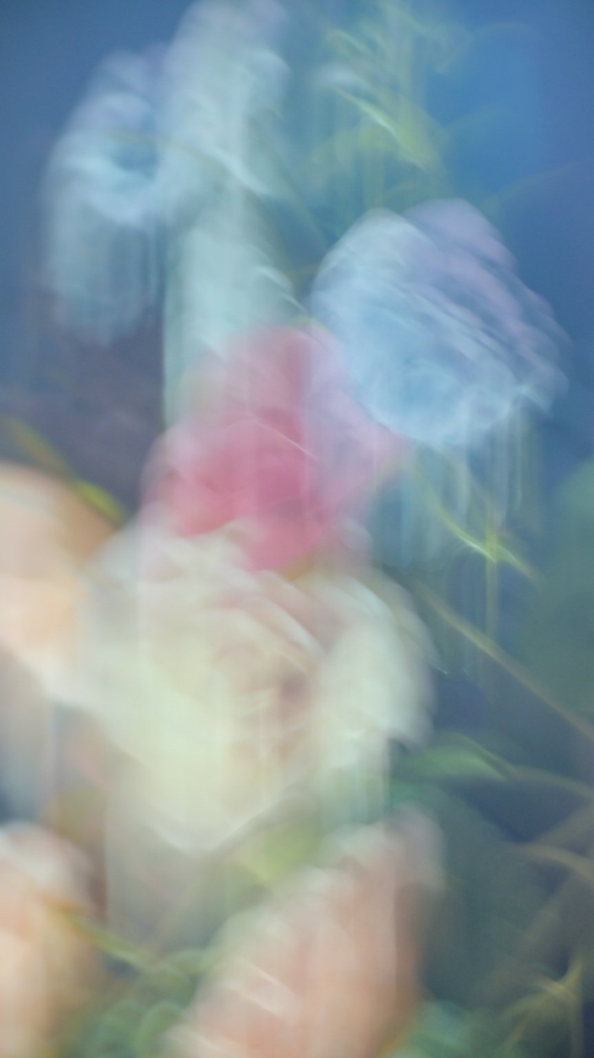 投稿画像 2