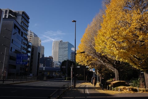 ミラーレスメインに移行することにして、泣く泣く手放すことにしたGRⅣ。みんカメで出品してみたら想像以上に早く売れて正直びっくり。

出品前に撮った最後の1枚。
やっぱりこのコンパクトさでこの画質、、GRⅣ好きだな。新しいオーナーさんに大切にしてもらえたら嬉しいです。